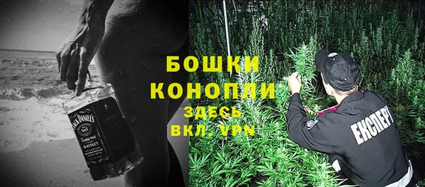шишки Фурманов
