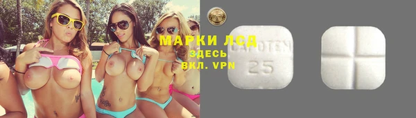 шишки Фурманов