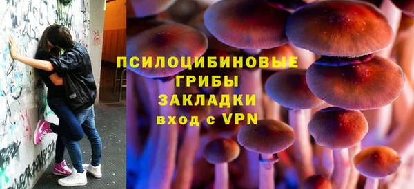 шишки Фурманов
