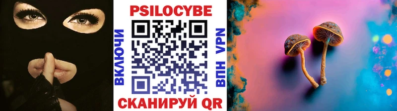Галлюциногенные грибы мицелий  Димитровград 