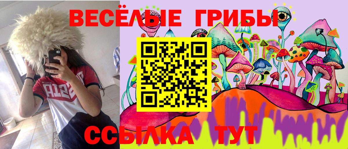 Псилоцибиновые грибы Psilocybine cubensis  Димитровград  Псилоцибиновые грибы Magic Shrooms 