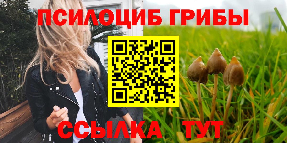 Псилоцибиновые грибы ЛСД Димитровград