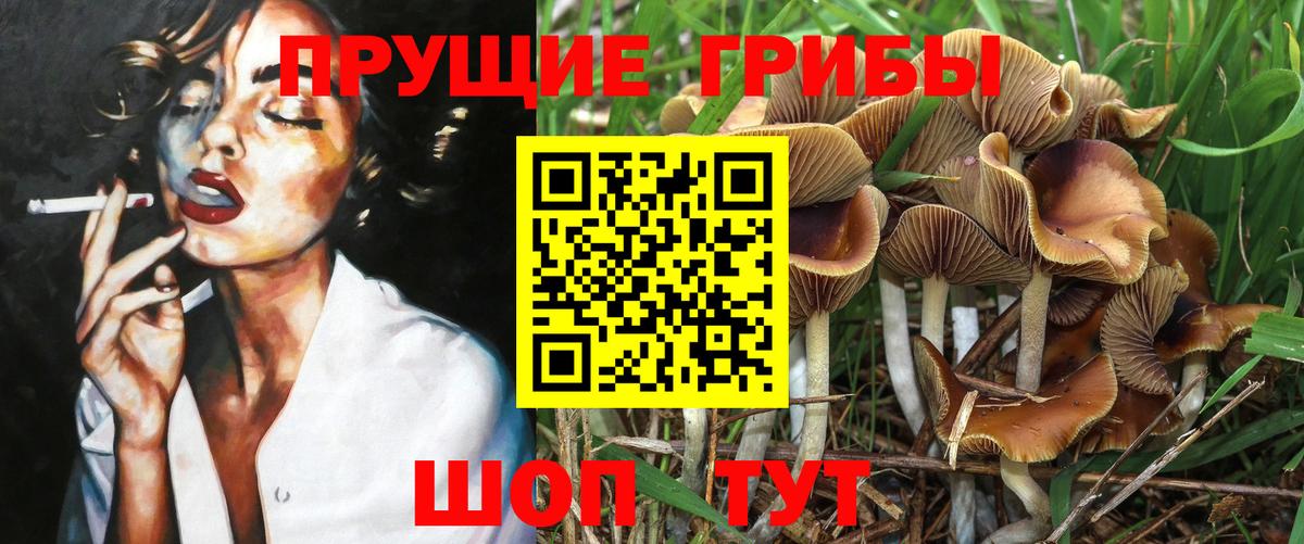 Псилоцибиновые грибы прущие грибы  Вход с VPN  Димитровград 